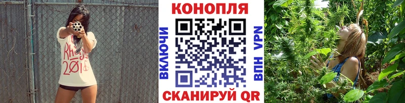 продажа наркотиков  Хотьково  МАРИХУАНА White Widow 
